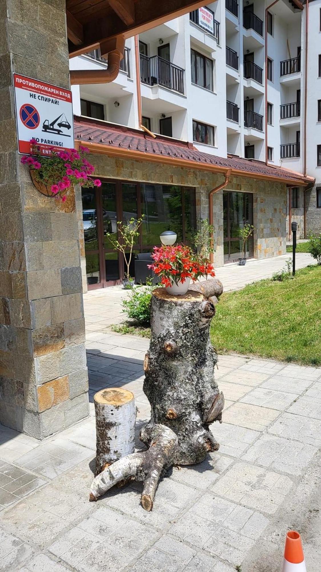 Pm Services Borovets Garden Apartments Esterno foto